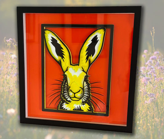 The Funky Hare